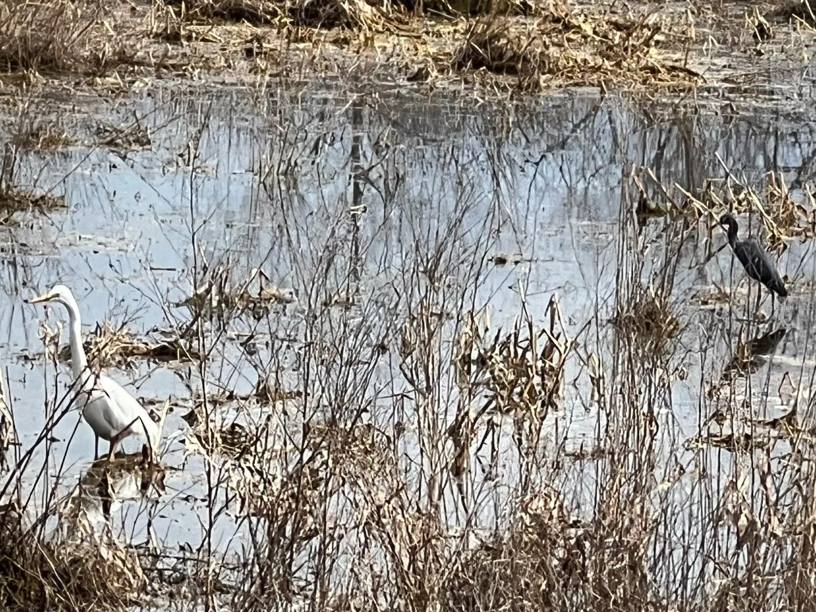 FOX HOLLOW SUB - Land