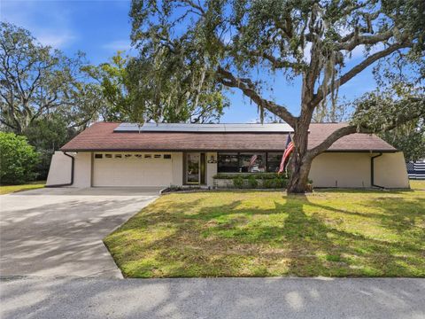 Photo of 8398 Begonia Street, Spring Hill, FL 34608 (MLS # W7882432)