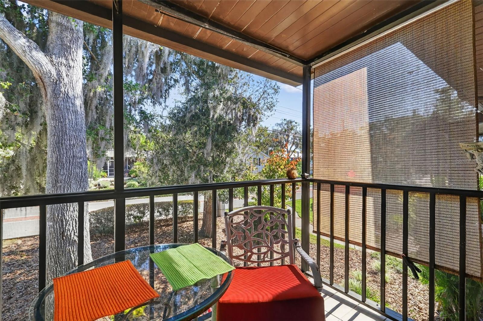 MOUNT DORA DORA ARMS CONDO - Residential