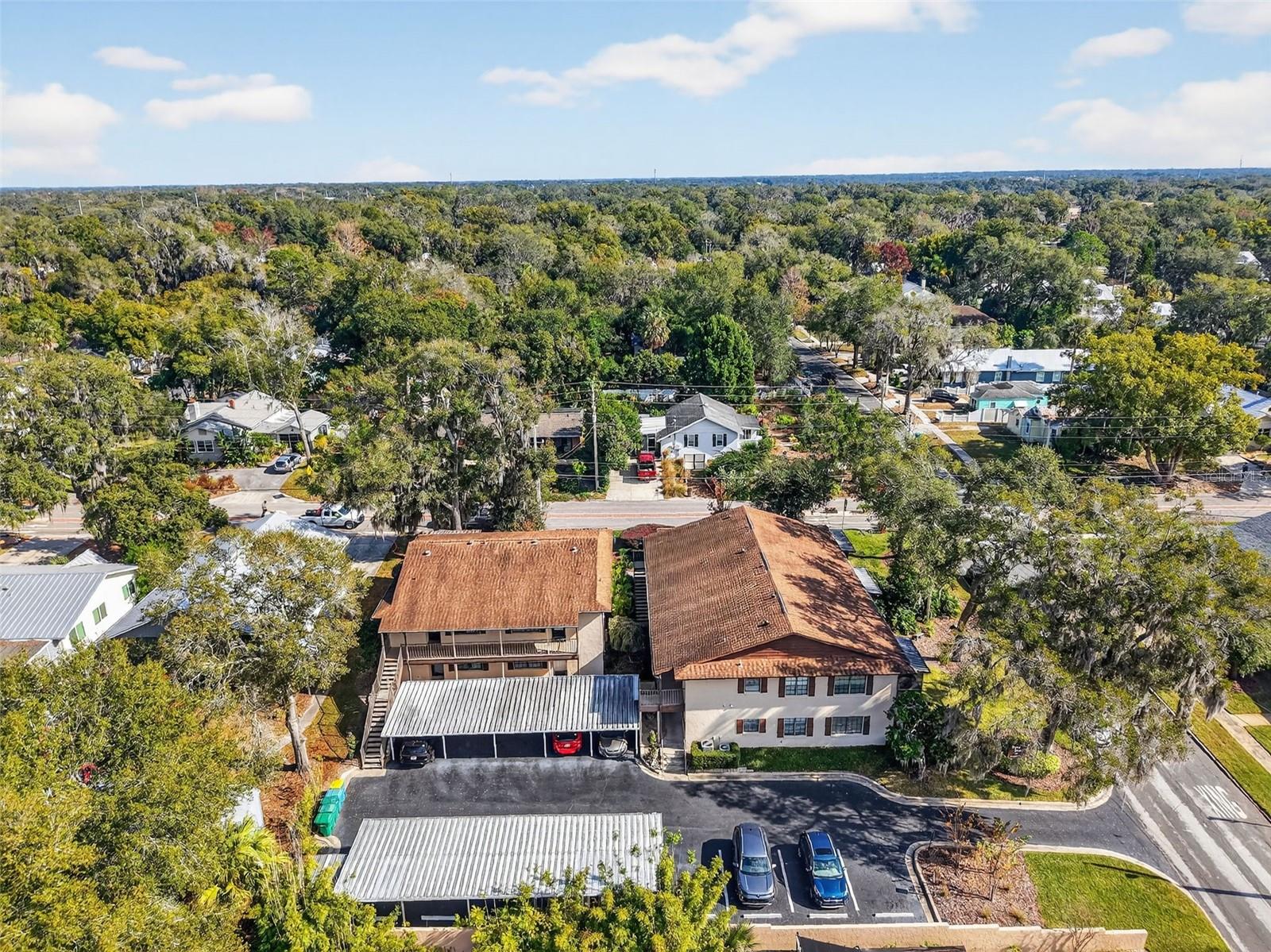 MOUNT DORA DORA ARMS CONDO - Residential