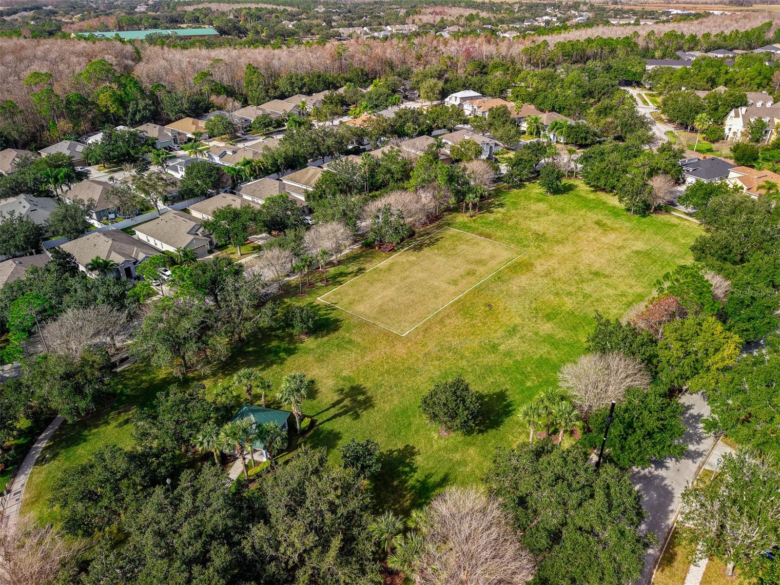 NORTHLAKE PARK ENCLAVE - Residential