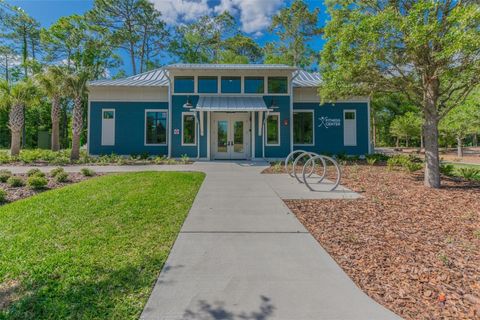 A home in LAND O LAKES