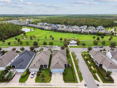 A home in LAND O LAKES