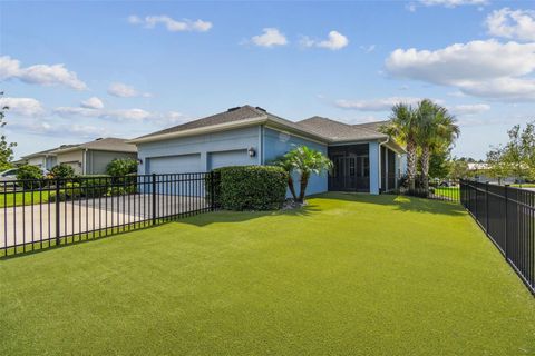 A home in LAND O LAKES