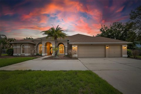 Photo of 9454 Swift Creek Circle, Dover, FL 33527 (MLS # TB8492381)