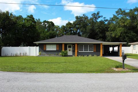 135 CONNIE AVENUE TAMPA FL 33613