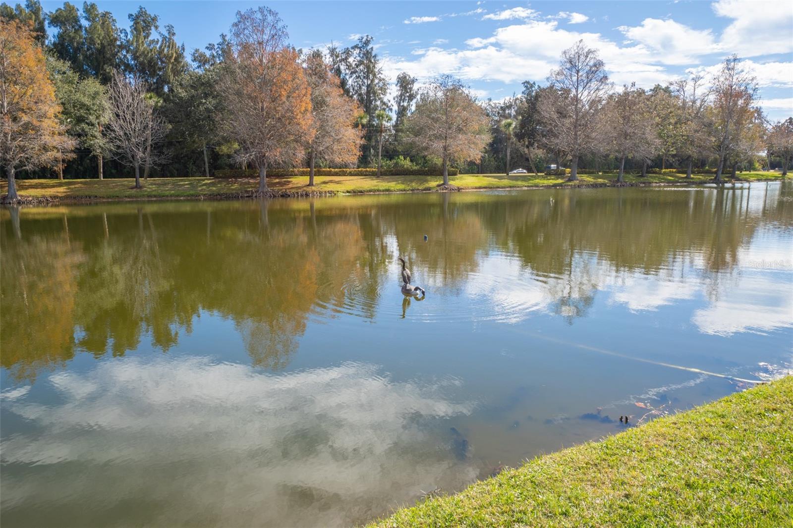 PLANTATION PH 01 - Residential