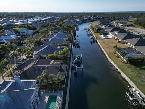 A home in APOLLO BEACH