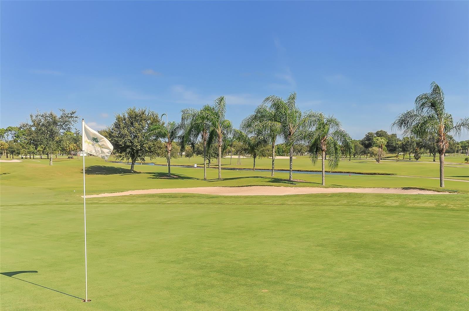 CARLYLE AT VILLAGES OF PALM-AIRE - Residential