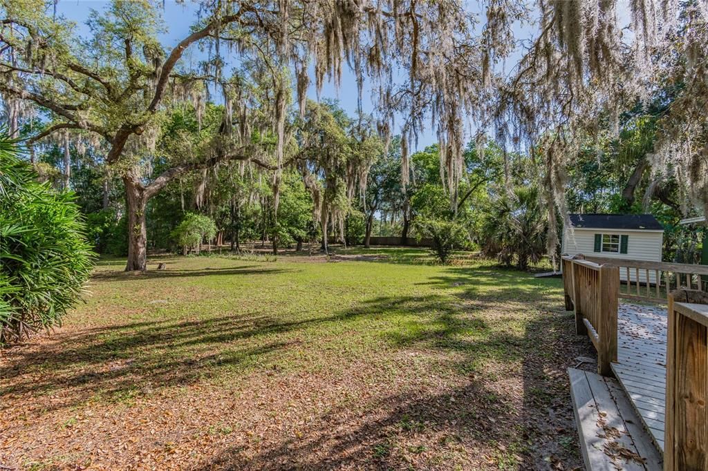 listing image 64