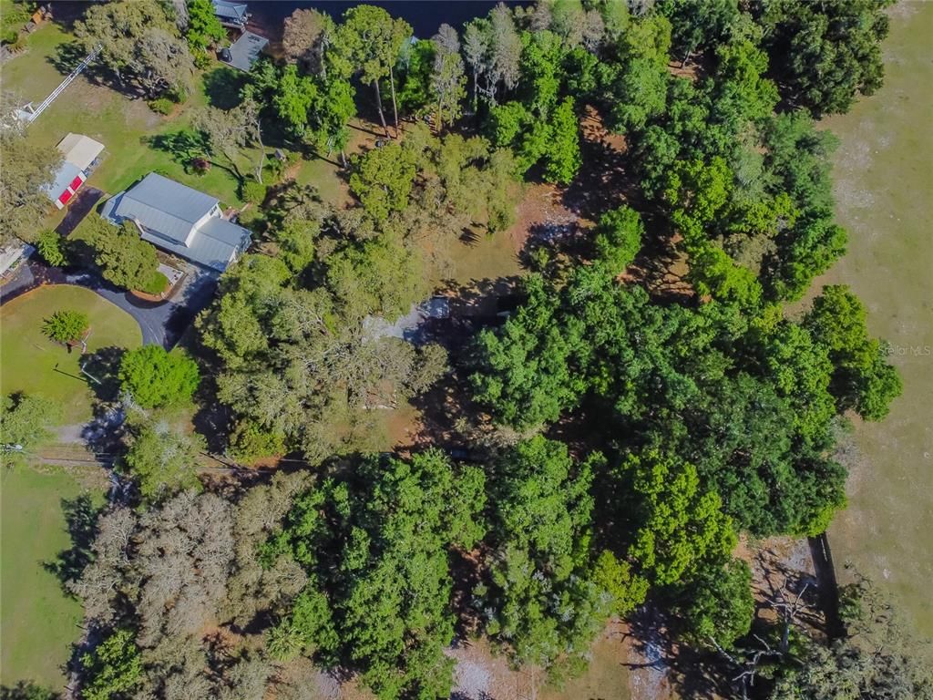 listing image 85
