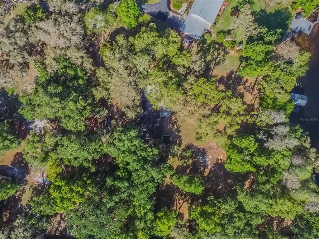 listing image 84