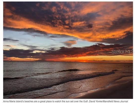 THE WOODS AT PINEBROOK - Residential