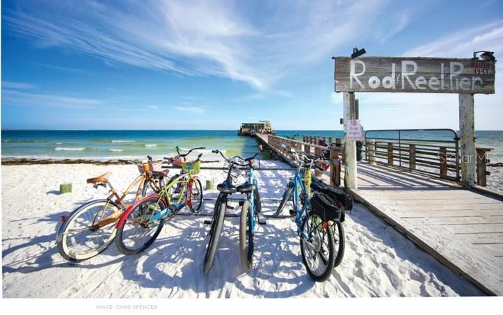 THE WOODS AT PINEBROOK - Residential