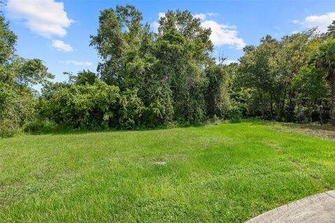Photo of 1082 Yaupon Street, Daytona Beach, FL 32117 (MLS # FC319271)
