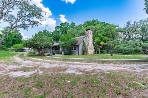 A home in DADE CITY