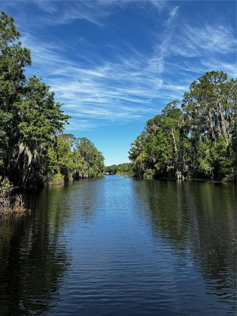 Tiny photo for 3430 Lake Diane Road, Tavares, FL 32778 (MLS # S5147301)