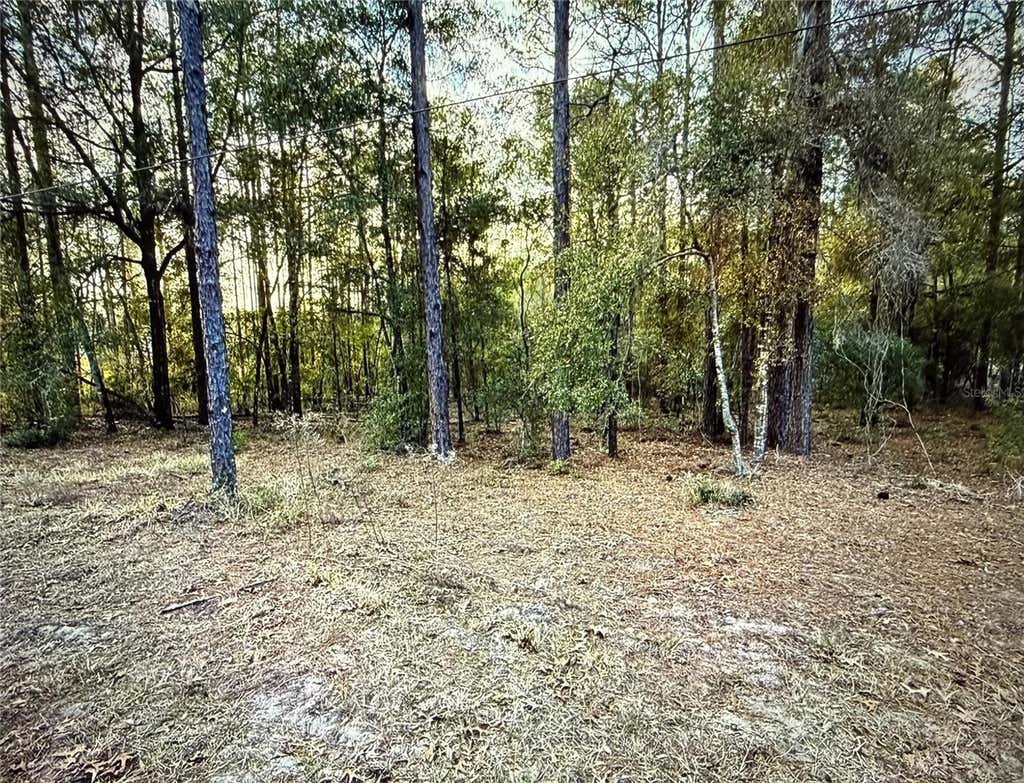 Photo of SW 205th Circle, Dunnellon, FL 34431 (MLS # O6435372)