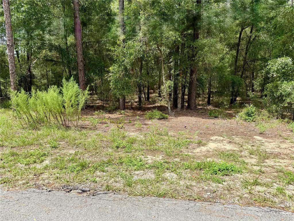 Photo of SW 205th Circle, Dunnellon, FL 34431 (MLS # O6435372)