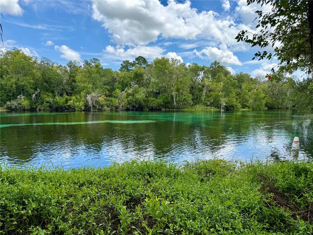Photo of SW 205th Circle, Dunnellon, FL 34431 (MLS # O6435372)