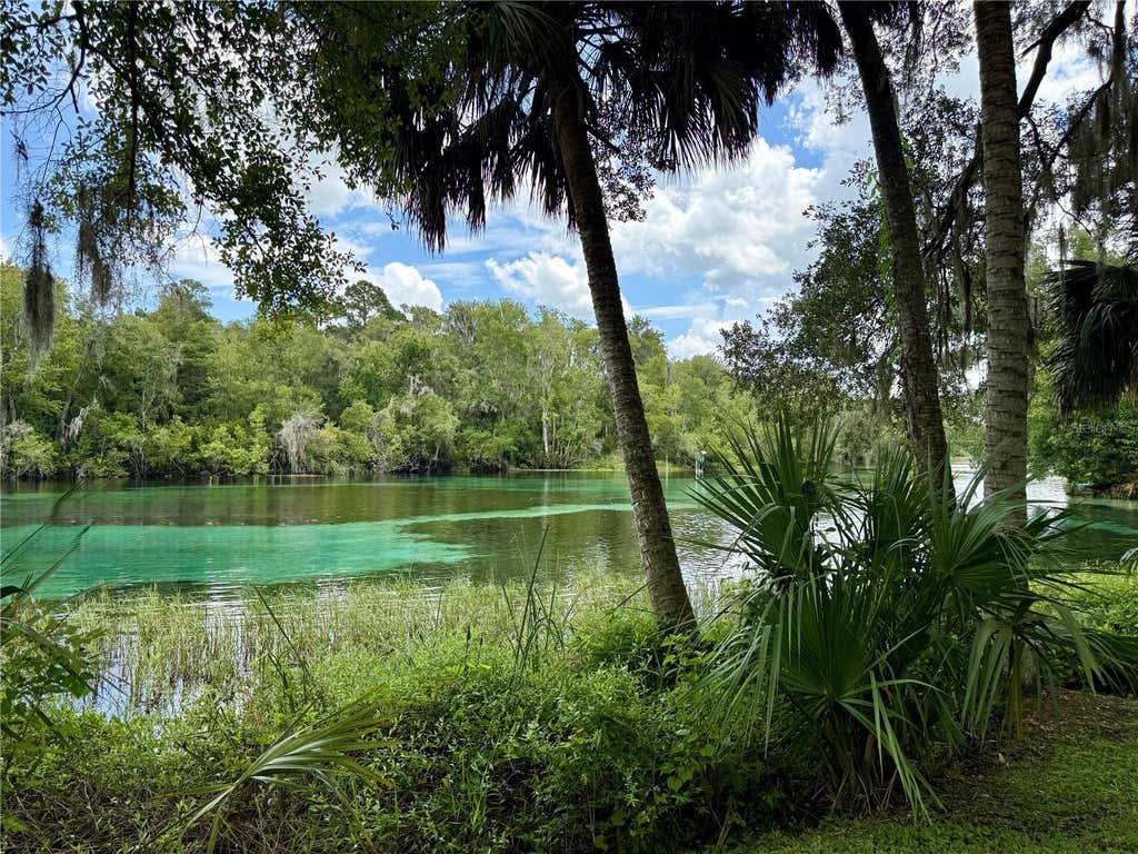 Photo of SW 205th Circle, Dunnellon, FL 34431 (MLS # O6435372)