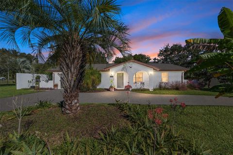 3625 SE 137TH STREET SUMMERFIELD FL 34491