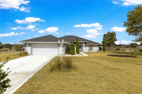 Photo of 9336 County Road 125d, Wildwood, FL 34785 (MLS # OM718359)