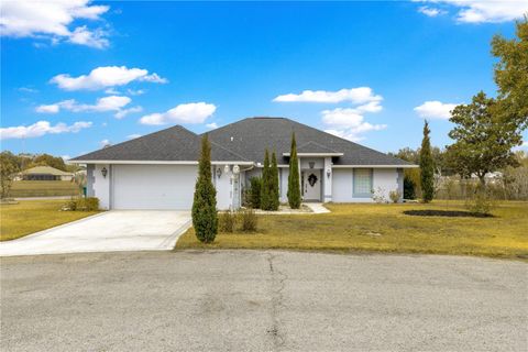 Tiny photo for 9336 County Road 125d, Wildwood, FL 34785 (MLS # OM718359)