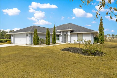Tiny photo for 9336 County Road 125d, Wildwood, FL 34785 (MLS # OM718359)