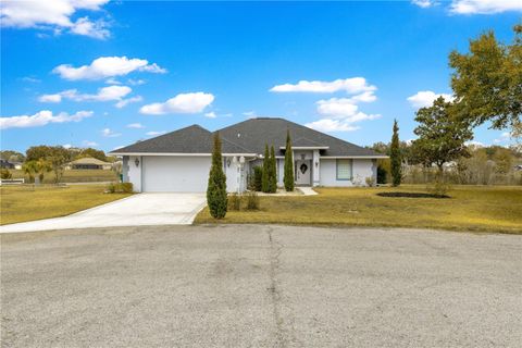 Tiny photo for 9336 County Road 125d, Wildwood, FL 34785 (MLS # OM718359)