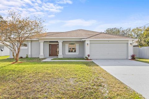 A home in PALM COAST