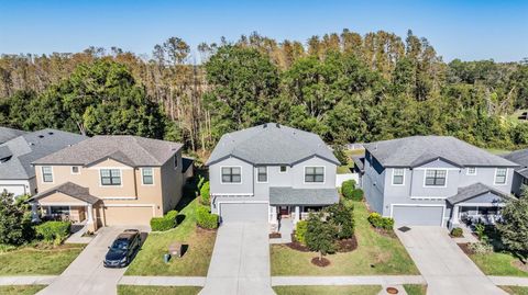 A home in LAND O LAKES