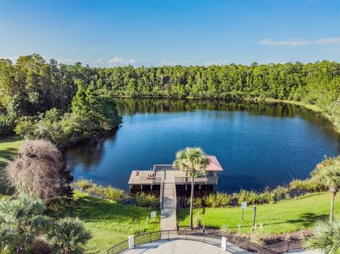 A home in LAND O LAKES