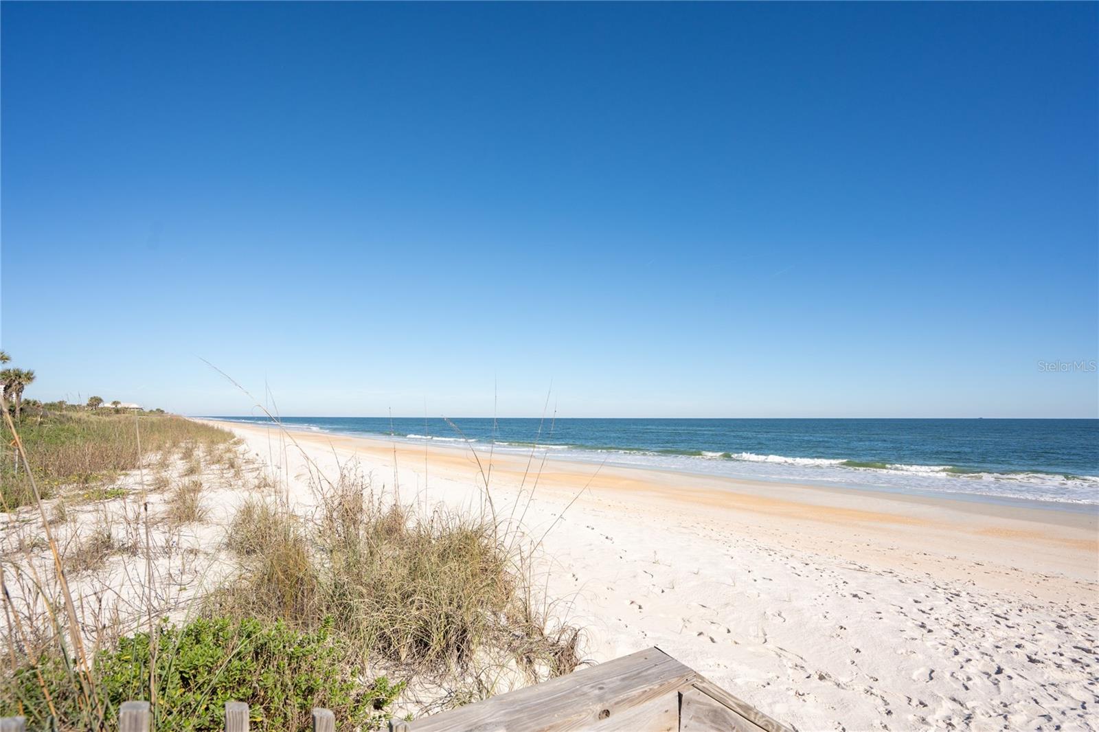 OCEAN HAMMOCK - Residential