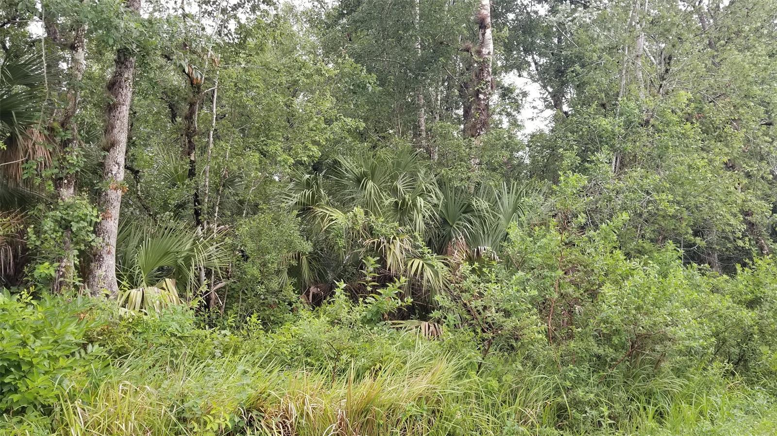 Howe & Curriers Allotment - Land