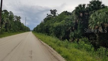 Howe & Curriers Allotment - Land