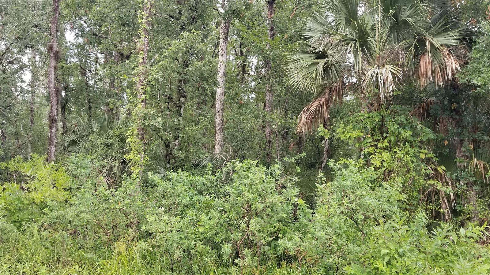 Howe & Curriers Allotment - Land