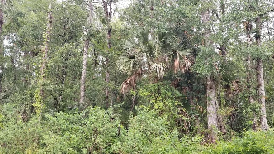 1.25 Acres for sale in an undeveloped area. Property is located on the west side of highway 95.  Once on Hunting Camp Road, you will travel about 3.5 miles south to then head east about 1 mile to Vacant Land. The lot attached on the west side is county-owned.  Enjoy the seclusion and have the ability to be only a short distance to the intercoastal, beaches and much more.  Seller is also selling Parcel #8304-00-00-2220 for an additional 7500.00.  They are not attached.; Cleared: No