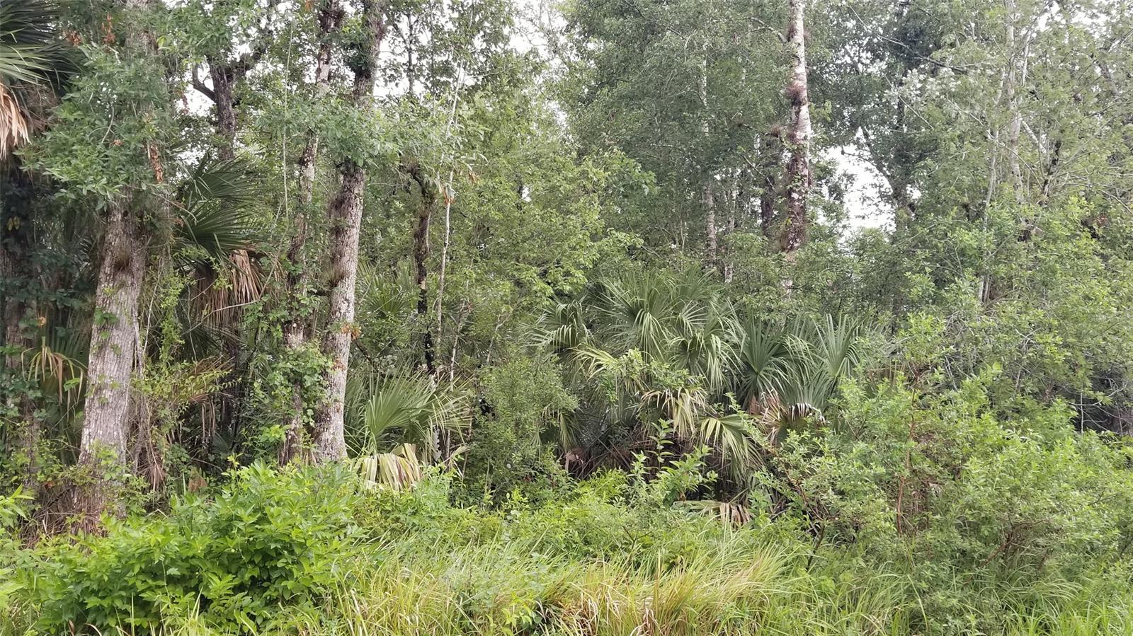 Howe & Curriers Allotment - Land