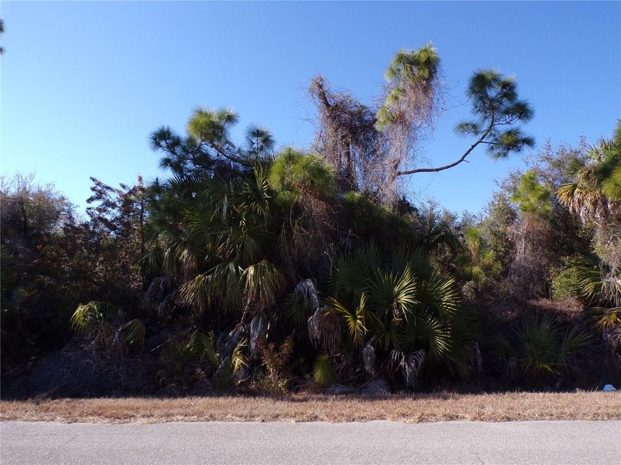 This lot is on a quiet street, and is the highly desired Flood Zone X, this means no flood insurance required. This lot would be a great place to build your dream home and retire or raise your family. Less than 7 miles to I75 makes this location an easy commute to almost anywhere, and only 22 miles to Chadwick Park Englewood Beach with amazing sunsets, 5 miles to Port Charlotte Town Center and only 17 miles Punta Gorda Historic district and waterfront park with lots of shopping and dining options. Tampa Bay Rays spring training and the fairgrounds are just minutes away, also multiple golf courses and some of the best boating and fishing in all of Florida. Red Soxs, Orioles, Twins and Braves spring training all within an hour’s drive. Buyer and buyers’ reps are responsible for determining environmental conditions and endangered species restrictions. This lot is priced to sell so please call for availability! This lot is at a great price point for the investor call today.