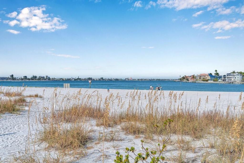 Photo of 800 Collany Road #302, St Petersburg, FL 33715 (MLS # O6363055)