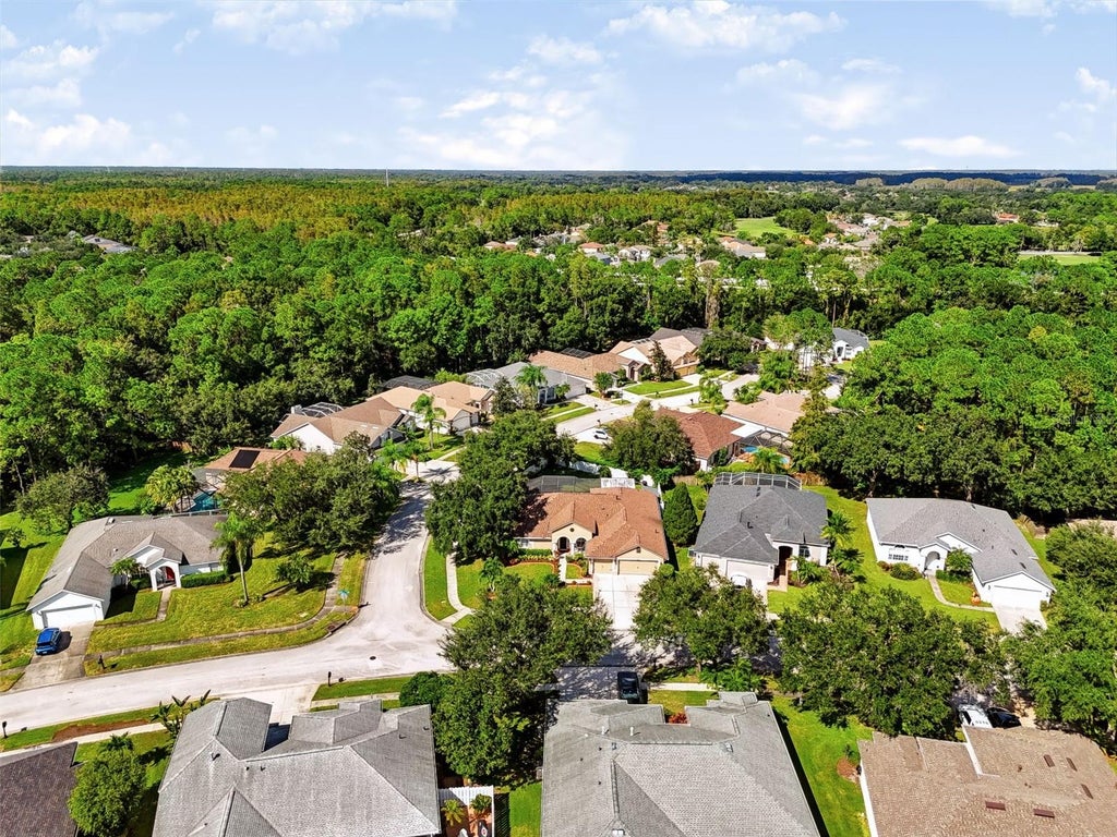 Photo of 12541 Leatherleaf Drive, Tampa, FL 33626 (MLS # TB8560249)
