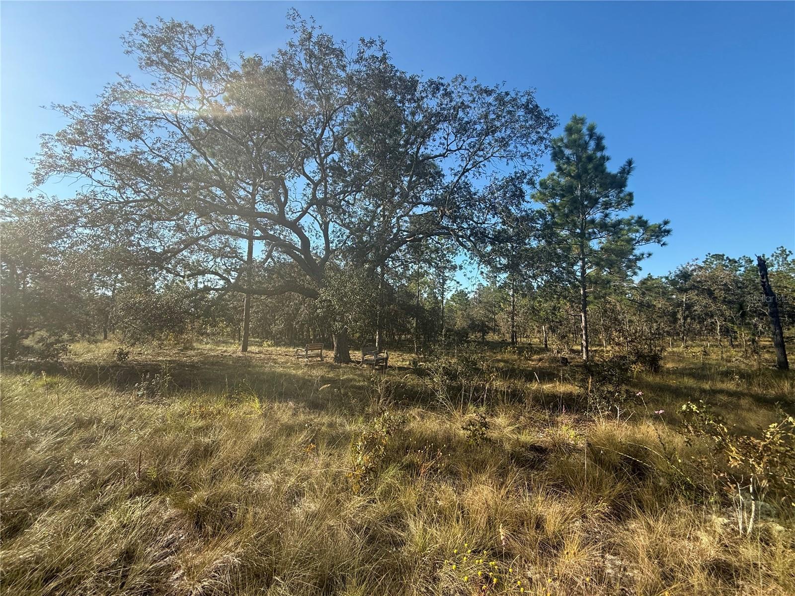 TRIPLE CROWN FARMS I - Land