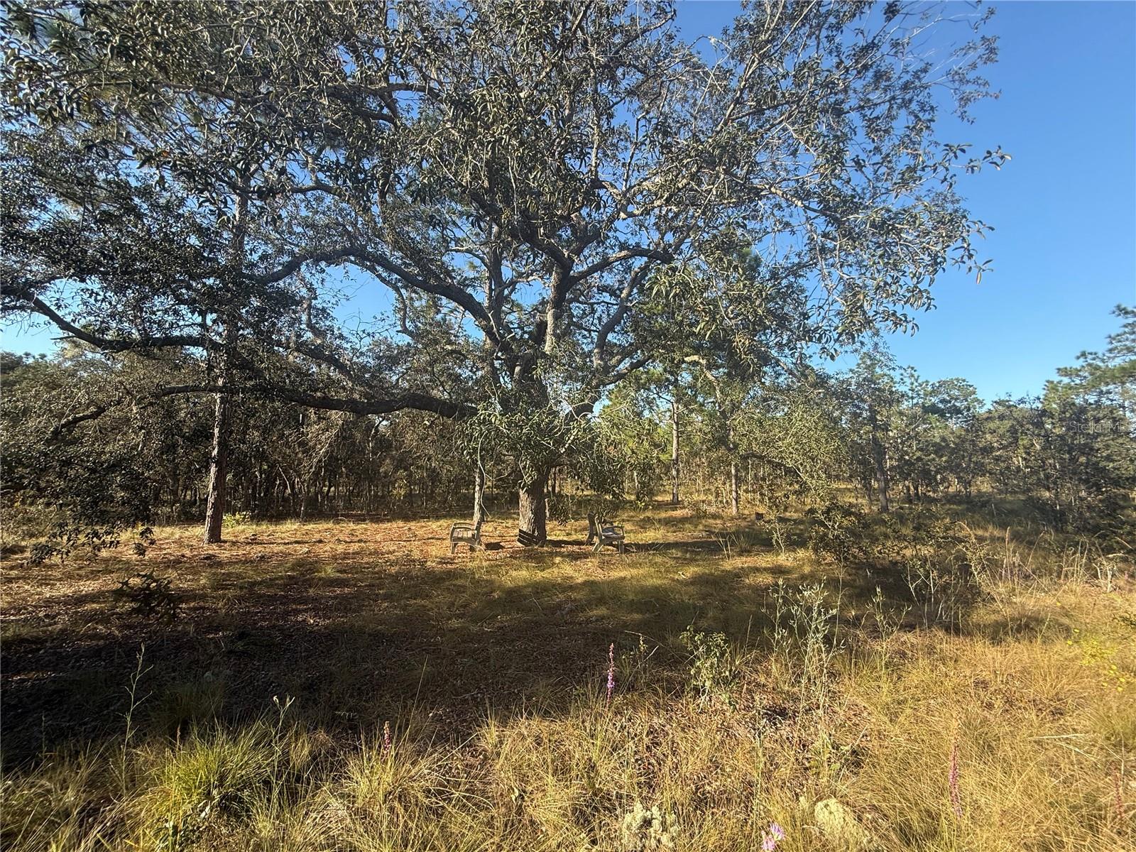 TRIPLE CROWN FARMS I - Land