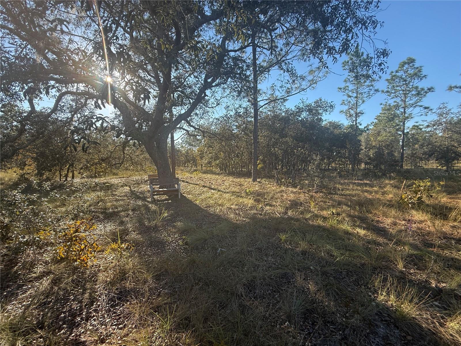 TRIPLE CROWN FARMS I - Land