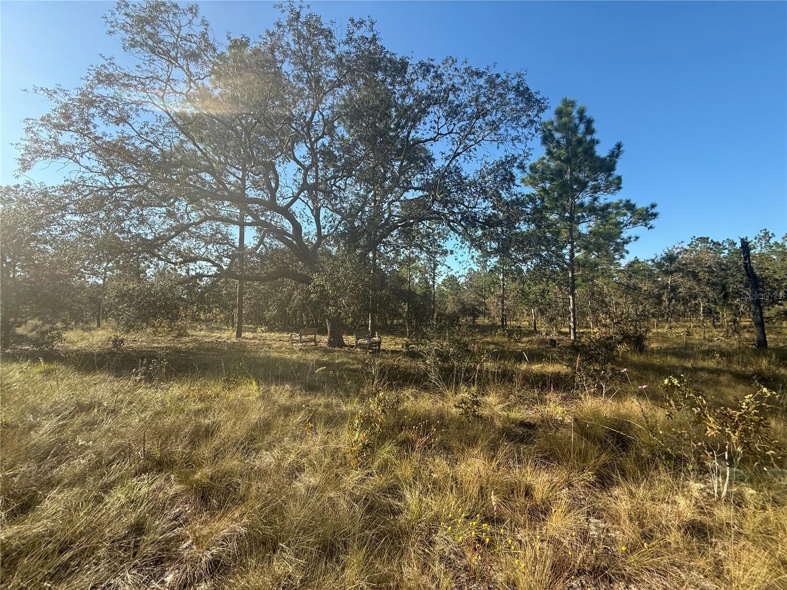 TRIPLE CROWN FARMS I - Land