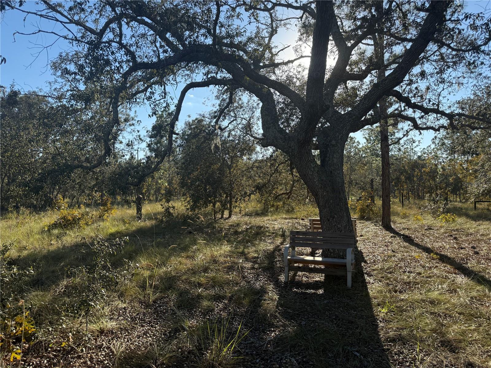 TRIPLE CROWN FARMS I - Land