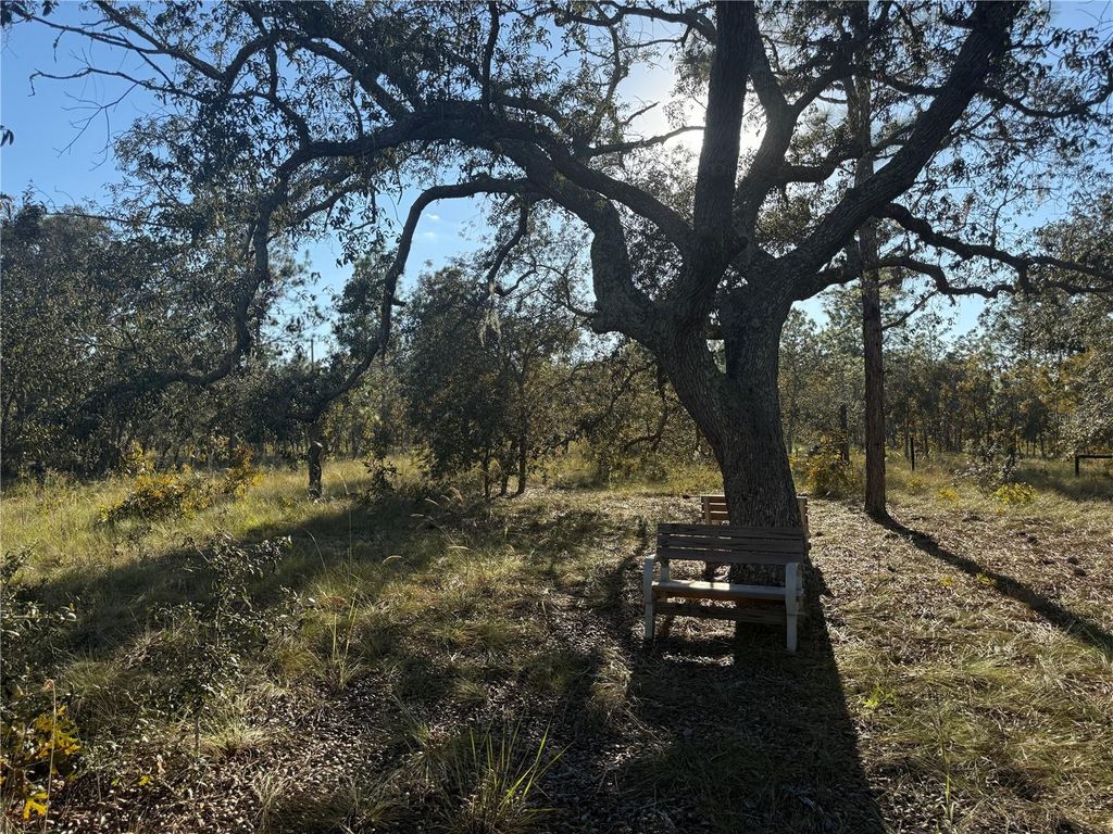 Photo of 00 SE 73rd Lane, Morriston, FL 32668 (MLS # OM711689)