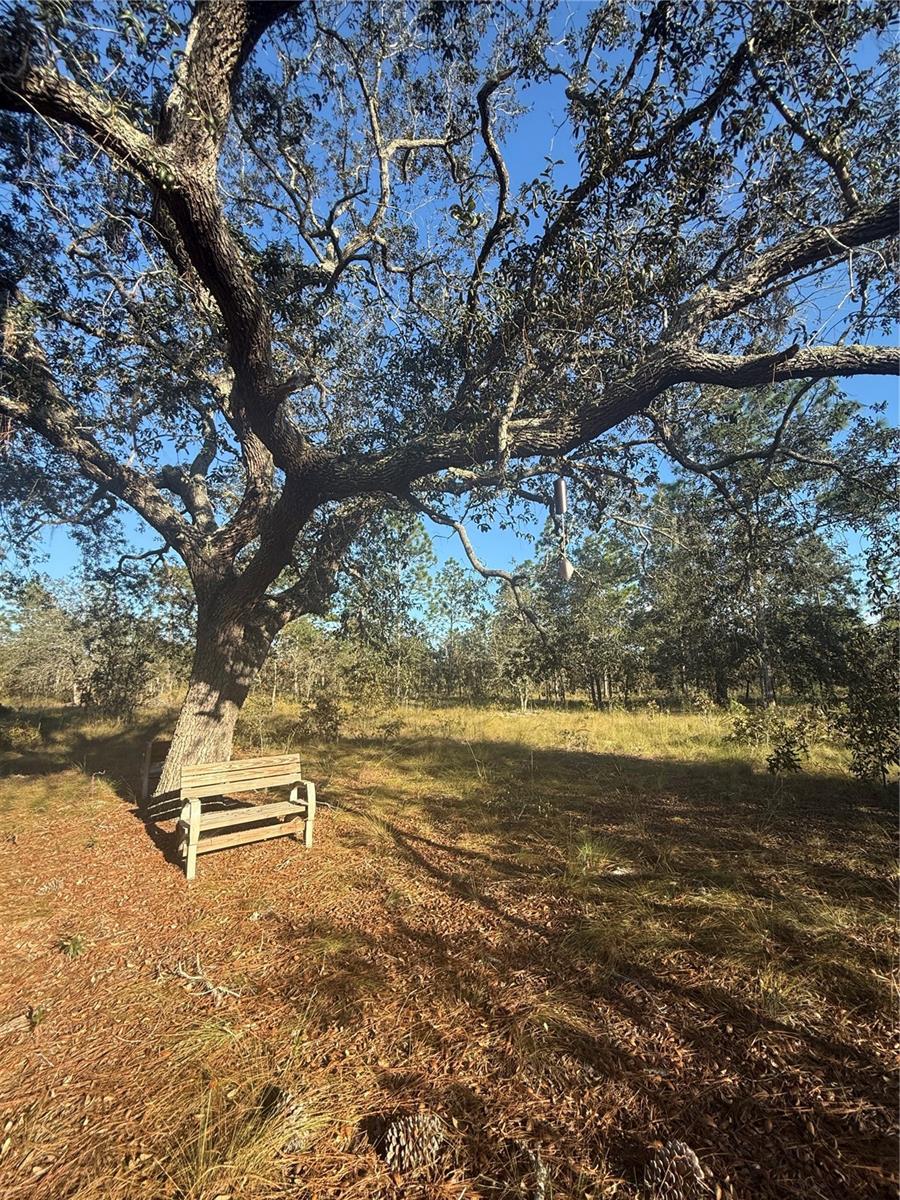 TRIPLE CROWN FARMS I - Land