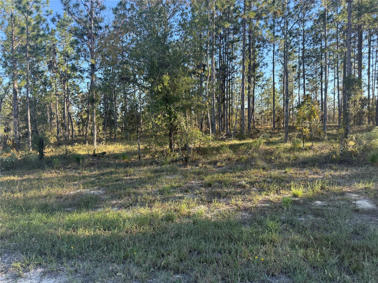 TRIPLE CROWN FARMS I - Land